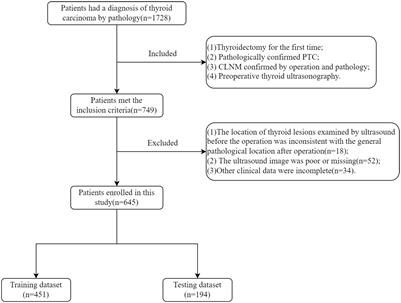 Ultrasound radiomics nomogram for predicting large-number cervical lymph node metastasis in papillary thyroid carcinoma